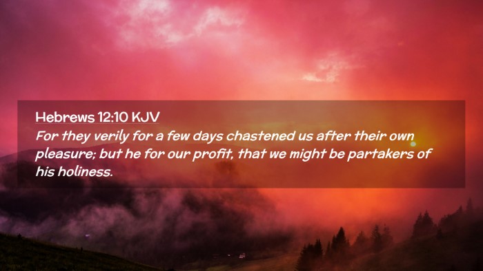 Picture 02 - Hebrews 12:10 KJV Desktop Wallpaper - For they verily for a few days chastened us after - Desktop Bible Verse Wallpaper