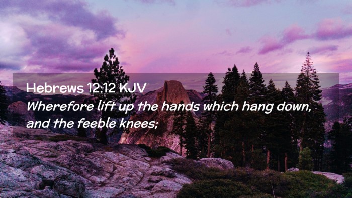 Picture 02 - Hebrews 12:12 KJV Desktop Wallpaper - Wherefore lift up the hands which hang down, and - Desktop Bible Verse Wallpaper