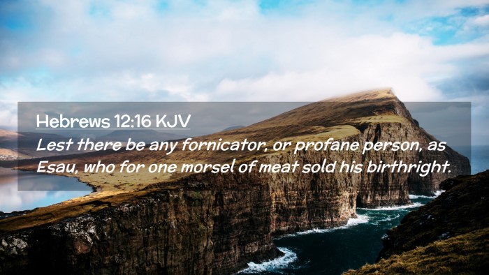 Picture 02 - Hebrews 12:16 KJV Desktop Wallpaper - Lest there be any fornicator, or profane person, - Desktop Bible Verse Wallpaper