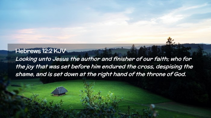 Picture 02 - Hebrews 12:2 KJV Desktop Wallpaper - Looking unto Jesus the author and finisher of our - Desktop Bible Verse Wallpaper