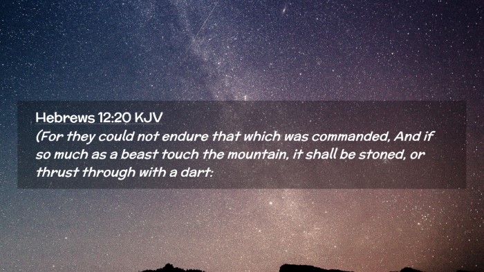 Picture 02 - Hebrews 12:20 KJV Desktop Wallpaper - (For they could not endure that which was - Desktop Bible Verse Wallpaper