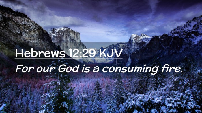 Picture 02 - Hebrews 12:29 KJV Desktop Wallpaper - For our God is a consuming - Desktop Bible Verse Wallpaper