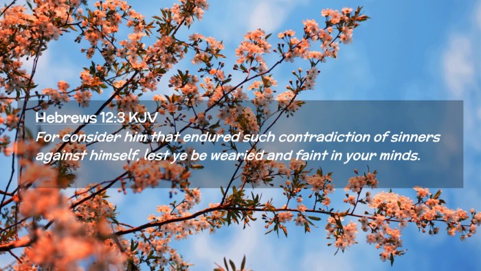 Picture 02 - Hebrews 12:3 KJV Desktop Wallpaper - For consider him that endured such contradiction - Desktop Bible Verse Wallpaper