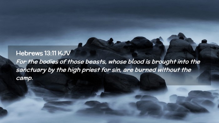 Picture 02 - Hebrews 13:11 KJV Desktop Wallpaper - For the bodies of those beasts, whose blood is - Desktop Bible Verse Wallpaper