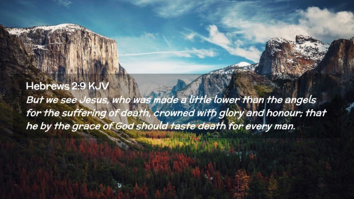 Picture 02 - Hebrews 2:9 KJV Desktop Wallpaper - But we see Jesus, who was made a little lower - Desktop Bible Verse Wallpaper