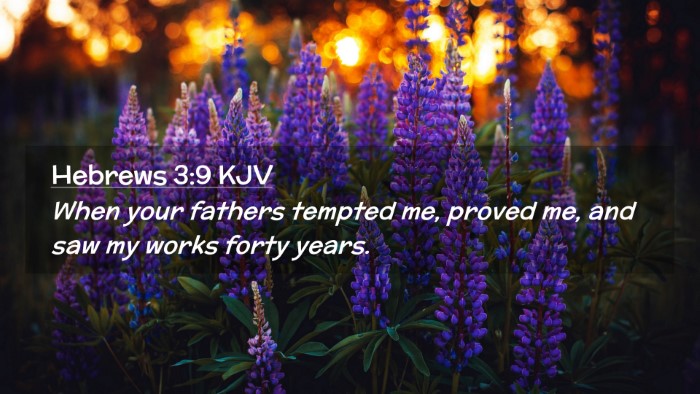 Picture 02 - Hebrews 3:9 KJV Desktop Wallpaper - When your fathers tempted me, proved me, and saw - Desktop Bible Verse Wallpaper