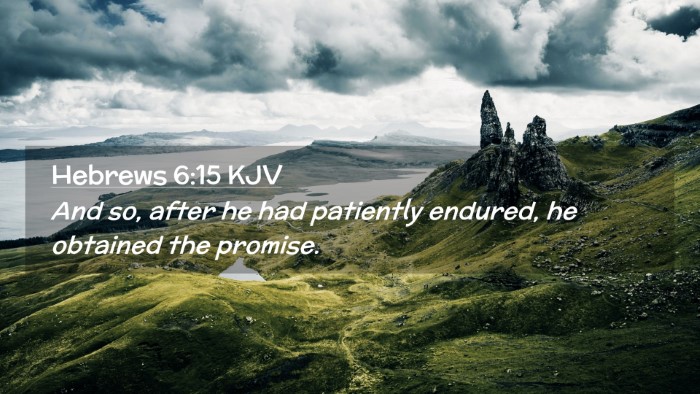Picture 02 - Hebrews 6:15 KJV Desktop Wallpaper - And so, after he had patiently endured, he - Desktop Bible Verse Wallpaper