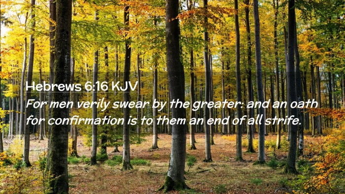 Picture 02 - Hebrews 6:16 KJV Desktop Wallpaper - For men verily swear by the greater: and an oath - Desktop Bible Verse Wallpaper