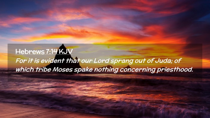 Picture 02 - Hebrews 7:14 KJV Desktop Wallpaper - For it is evident that our Lord sprang out of - Desktop Bible Verse Wallpaper
