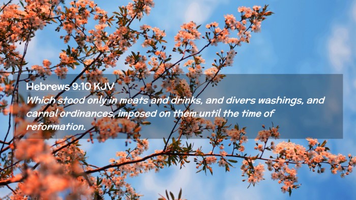 Picture 02 - Hebrews 9:10 KJV Desktop Wallpaper - Which stood only in meats and drinks, and divers - Desktop Bible Verse Wallpaper