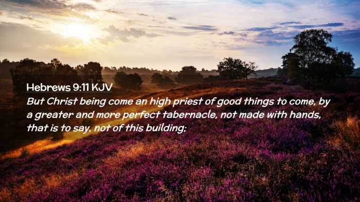 Picture 02 - Hebrews 9:11 KJV Desktop Wallpaper - But Christ being come an high priest of good - Desktop Bible Verse Wallpaper