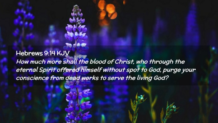 Picture 02 - Hebrews 9:14 KJV Desktop Wallpaper - How much more shall the blood of Christ, who - Desktop Bible Verse Wallpaper