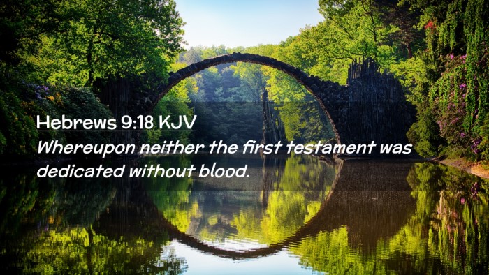 Picture 02 - Hebrews 9:18 KJV Desktop Wallpaper - Whereupon neither the first testament was - Desktop Bible Verse Wallpaper