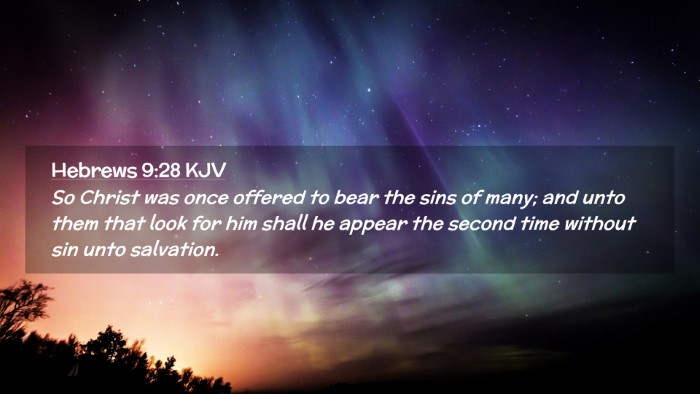 Picture 02 - Hebrews 9:28 KJV Desktop Wallpaper - So Christ was once offered to bear the sins of - Desktop Bible Verse Wallpaper