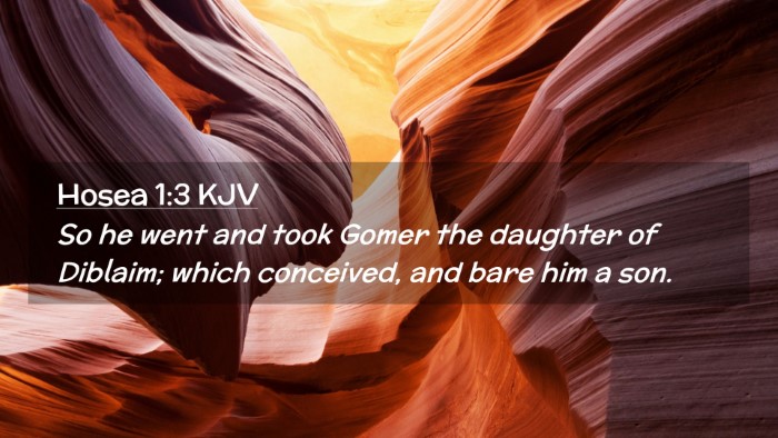 Picture 02 - Hosea 1:3 KJV Desktop Wallpaper - So he went and took Gomer the daughter of - Desktop Bible Verse Wallpaper