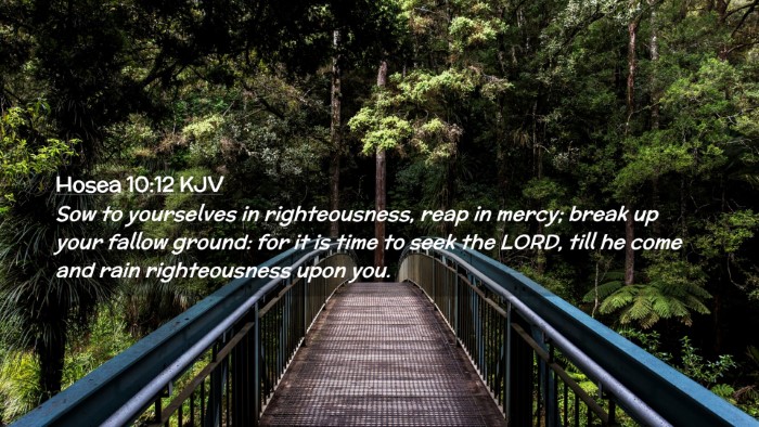 Picture 02 - Hosea 10:12 KJV Desktop Wallpaper - Sow to yourselves in righteousness, reap in - Desktop Bible Verse Wallpaper