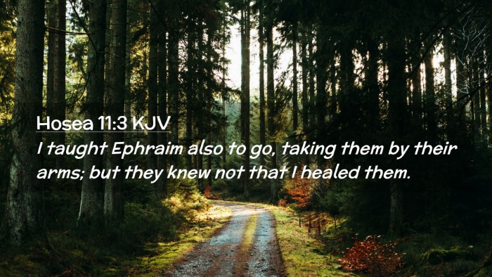 Picture 02 - Hosea 11:3 KJV Desktop Wallpaper - I taught Ephraim also to go, taking them by their - Desktop Bible Verse Wallpaper