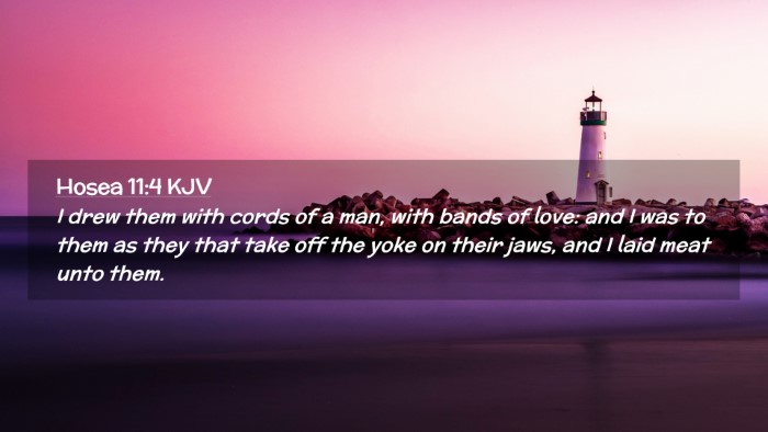 Picture 02 - Hosea 11:4 KJV Desktop Wallpaper - I drew them with cords of a man, with bands of - Desktop Bible Verse Wallpaper