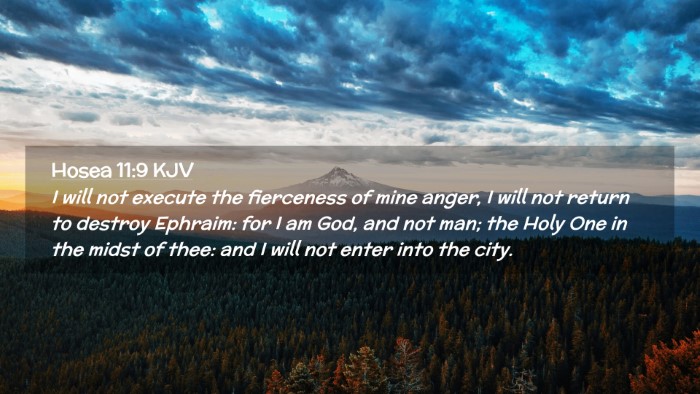 Picture 02 - Hosea 11:9 KJV Desktop Wallpaper - I will not execute the fierceness of mine anger, - Desktop Bible Verse Wallpaper