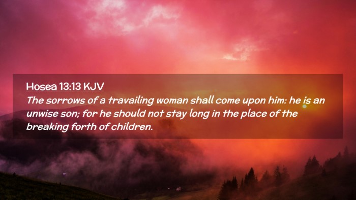 Picture 02 - Hosea 13:13 KJV Desktop Wallpaper - The sorrows of a travailing woman shall come upon - Desktop Bible Verse Wallpaper