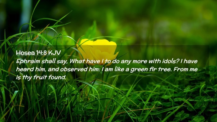 Picture 02 - Hosea 14:8 KJV Desktop Wallpaper - Ephraim shall say, What have I to do any more - Desktop Bible Verse Wallpaper