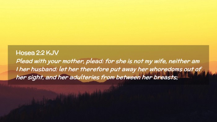Picture 02 - Hosea 2:2 KJV Desktop Wallpaper - Plead with your mother, plead: for she is not my - Desktop Bible Verse Wallpaper