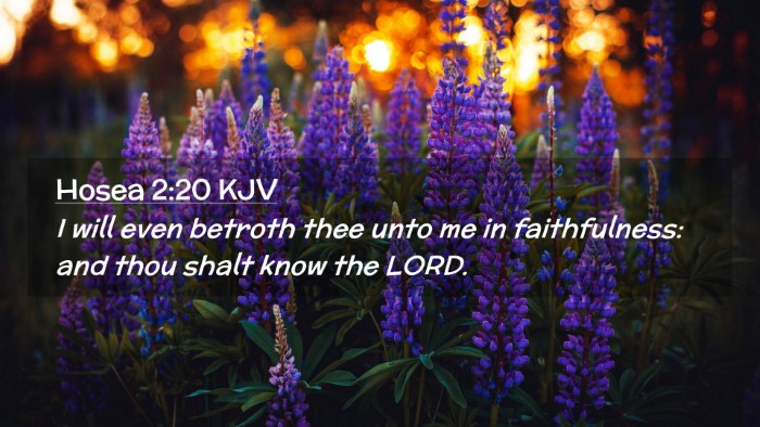 Picture 02 - Hosea 2:20 KJV Desktop Wallpaper - I will even betroth thee unto me in faithfulness: - Desktop Bible Verse Wallpaper