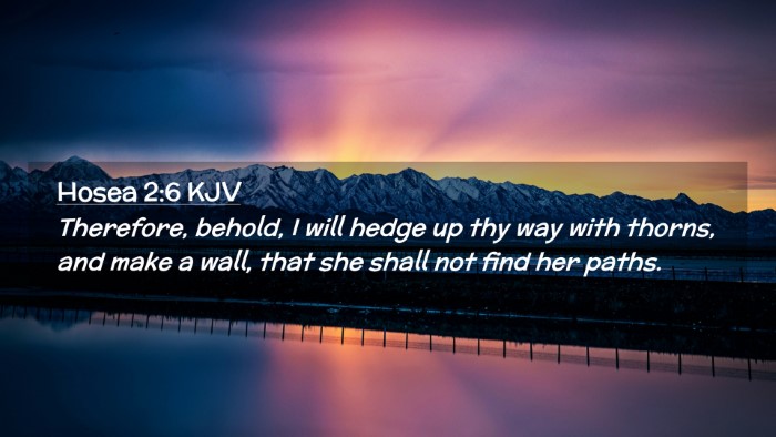 Picture 02 - Hosea 2:6 KJV Desktop Wallpaper - Therefore, behold, I will hedge up thy way with - Desktop Bible Verse Wallpaper