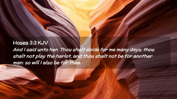 Picture 02 - Hosea 3:3 KJV Desktop Wallpaper - And I said unto her, Thou shalt abide for me many - Desktop Bible Verse Wallpaper