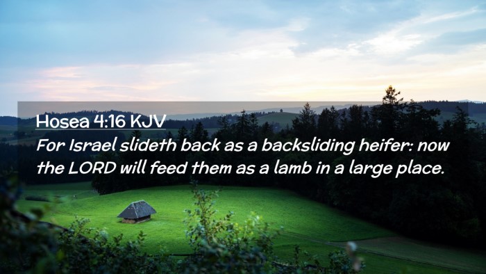 Picture 02 - Hosea 4:16 KJV Desktop Wallpaper - For Israel slideth back as a backsliding heifer: - Desktop Bible Verse Wallpaper