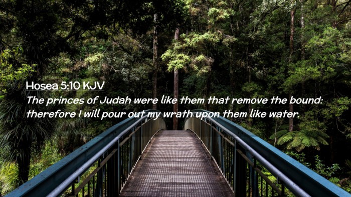 Picture 02 - Hosea 5:10 KJV Desktop Wallpaper - The princes of Judah were like them that remove - Desktop Bible Verse Wallpaper