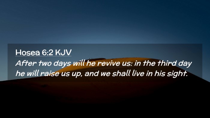 Picture 02 - Hosea 6:2 KJV Desktop Wallpaper - After two days will he revive us: in the third - Desktop Bible Verse Wallpaper