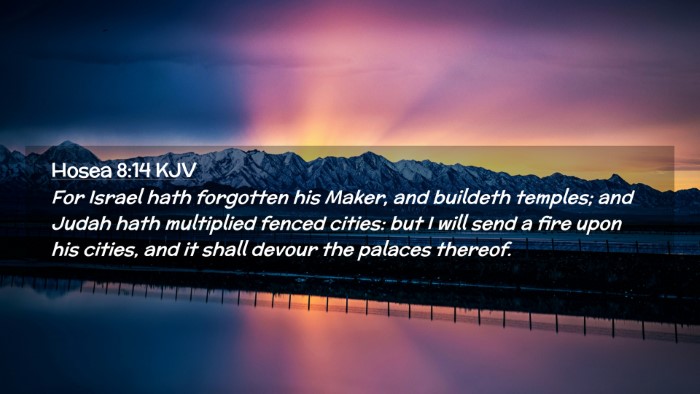 Picture 02 - Hosea 8:14 KJV Desktop Wallpaper - For Israel hath forgotten his Maker, and buildeth - Desktop Bible Verse Wallpaper