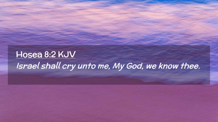 Picture 02 - Hosea 8:2 KJV Desktop Wallpaper - Israel shall cry unto me, My God, we know - Desktop Bible Verse Wallpaper