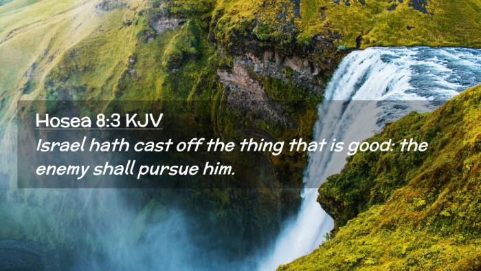 Picture 02 - Hosea 8:3 KJV Desktop Wallpaper - Israel hath cast off the thing that is good: the - Desktop Bible Verse Wallpaper