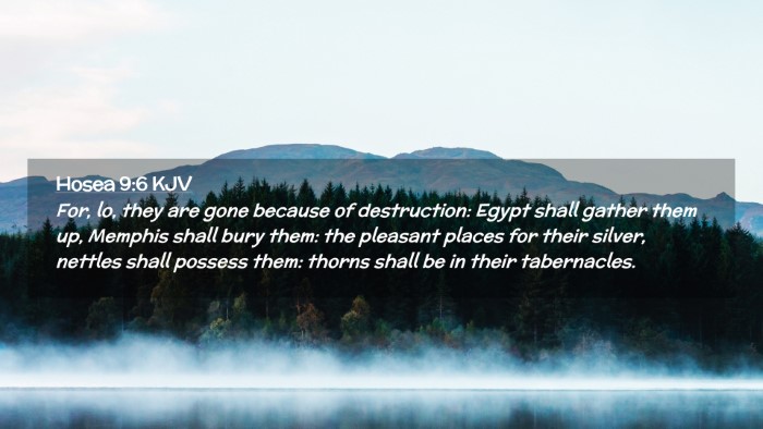 Picture 02 - Hosea 9:6 KJV Desktop Wallpaper - For, lo, they are gone because of destruction: - Desktop Bible Verse Wallpaper