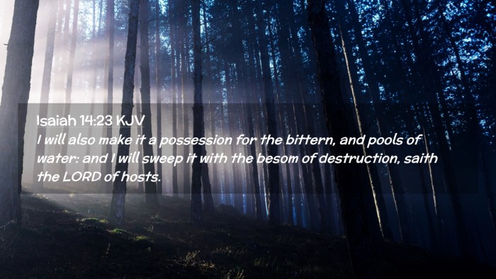 Picture 02 - Isaiah 14:23 KJV Desktop Wallpaper - I will also make it a possession for the bittern, - Desktop Bible Verse Wallpaper