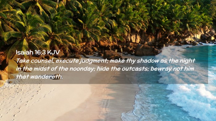 Picture 02 - Isaiah 16:3 KJV Desktop Wallpaper - Take counsel, execute judgment; make thy shadow - Desktop Bible Verse Wallpaper
