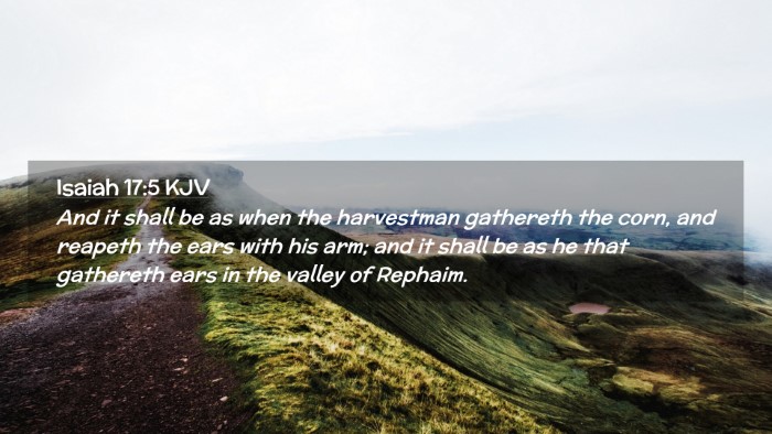 Picture 02 - Isaiah 17:5 KJV Desktop Wallpaper - And it shall be as when the harvestman gathereth - Desktop Bible Verse Wallpaper