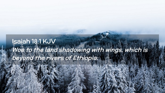 Picture 02 - Isaiah 18:1 KJV Desktop Wallpaper - Woe to the land shadowing with wings, which is - Desktop Bible Verse Wallpaper