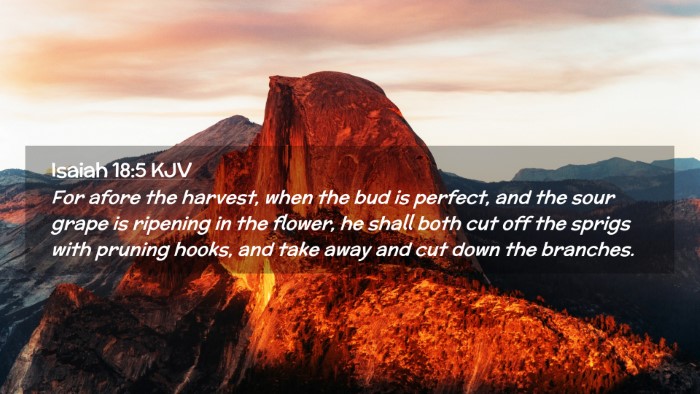 Picture 02 - Isaiah 18:5 KJV Desktop Wallpaper - For afore the harvest, when the bud is perfect, - Desktop Bible Verse Wallpaper