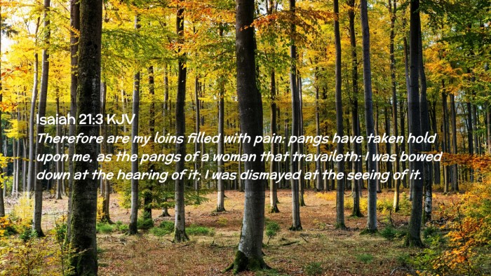 Picture 02 - Isaiah 21:3 KJV Desktop Wallpaper - Therefore are my loins filled with pain: pangs - Desktop Bible Verse Wallpaper
