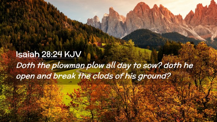 Picture 02 - Isaiah 28:24 KJV Desktop Wallpaper - Doth the plowman plow all day to sow? doth he - Desktop Bible Verse Wallpaper