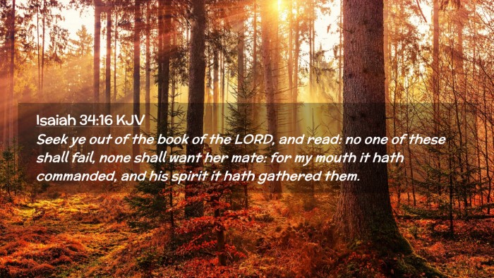 Picture 02 - Isaiah 34:16 KJV Desktop Wallpaper - Seek ye out of the book of the LORD, and read: no - Desktop Bible Verse Wallpaper