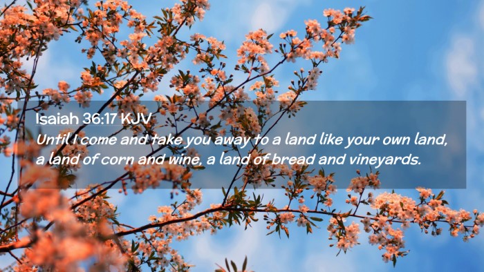 Picture 02 - Isaiah 36:17 KJV Desktop Wallpaper - Until I come and take you away to a land like - Desktop Bible Verse Wallpaper