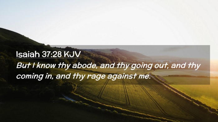 Picture 02 - Isaiah 37:28 KJV Desktop Wallpaper - But I know thy abode, and thy going out, and thy - Desktop Bible Verse Wallpaper