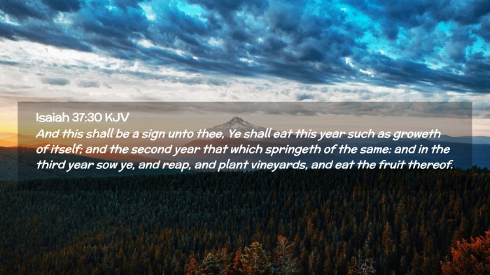 Picture 02 - Isaiah 37:30 KJV Desktop Wallpaper - And this shall be a sign unto thee, Ye shall eat - Desktop Bible Verse Wallpaper