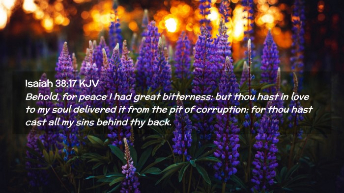 Picture 02 - Isaiah 38:17 KJV Desktop Wallpaper - Behold, for peace I had great bitterness: but - Desktop Bible Verse Wallpaper