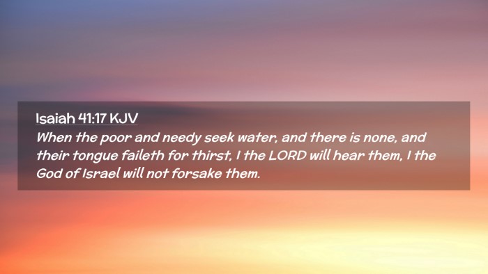 Picture 02 - Isaiah 41:17 KJV Desktop Wallpaper - When the poor and needy seek water, and there is - Desktop Bible Verse Wallpaper