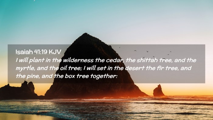 Picture 02 - Isaiah 41:19 KJV Desktop Wallpaper - I will plant in the wilderness the cedar, the - Desktop Bible Verse Wallpaper